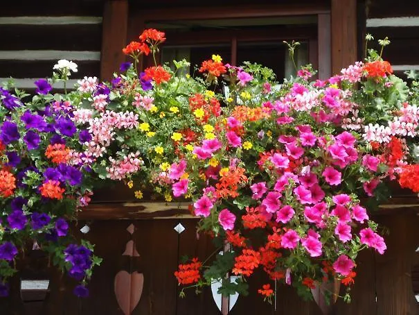 Séjour à la ferme Leebhof *