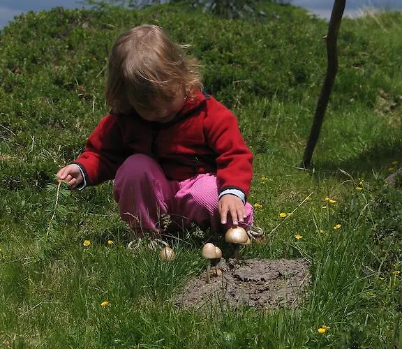 Séjour à la ferme Leebhof *