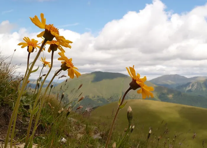 Séjour à la ferme Leebhof