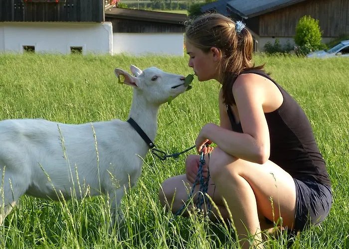 Séjour à la ferme Leebhof