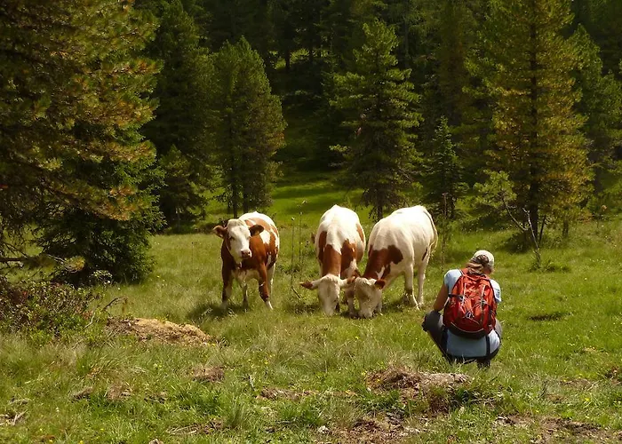 Séjour à la ferme Leebhof